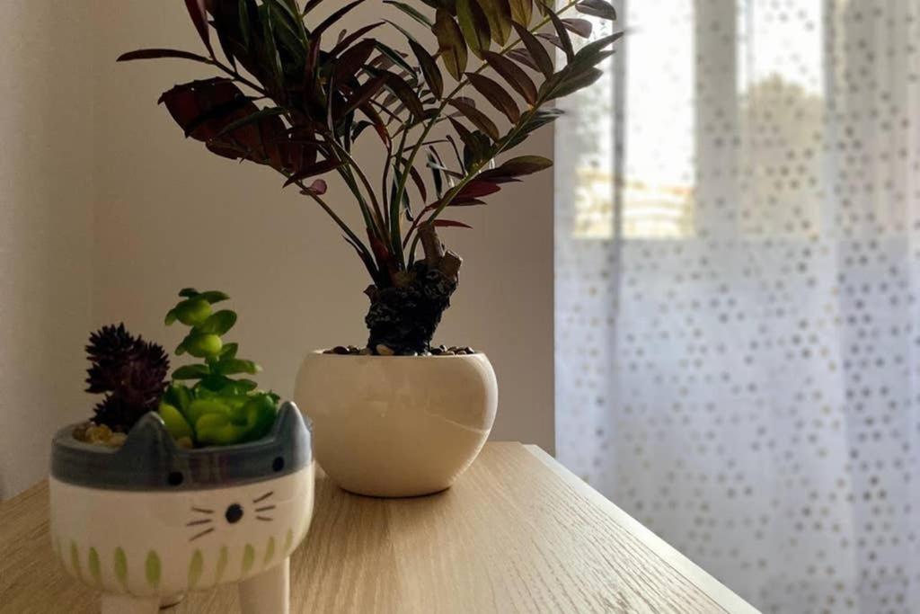 Central Modern Apartment Rome -Locazione Turistica- Екстериор снимка